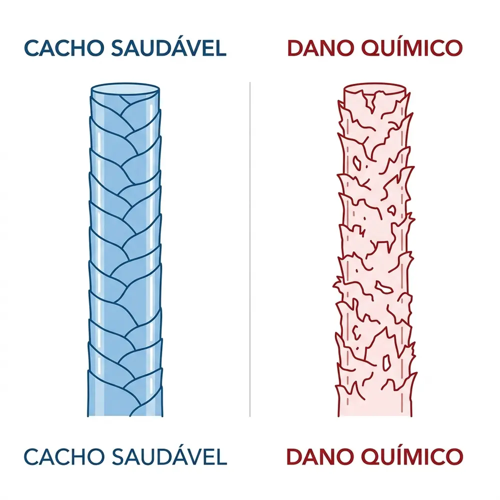 Comparativo: Estrutura capilar saudável vs danificada